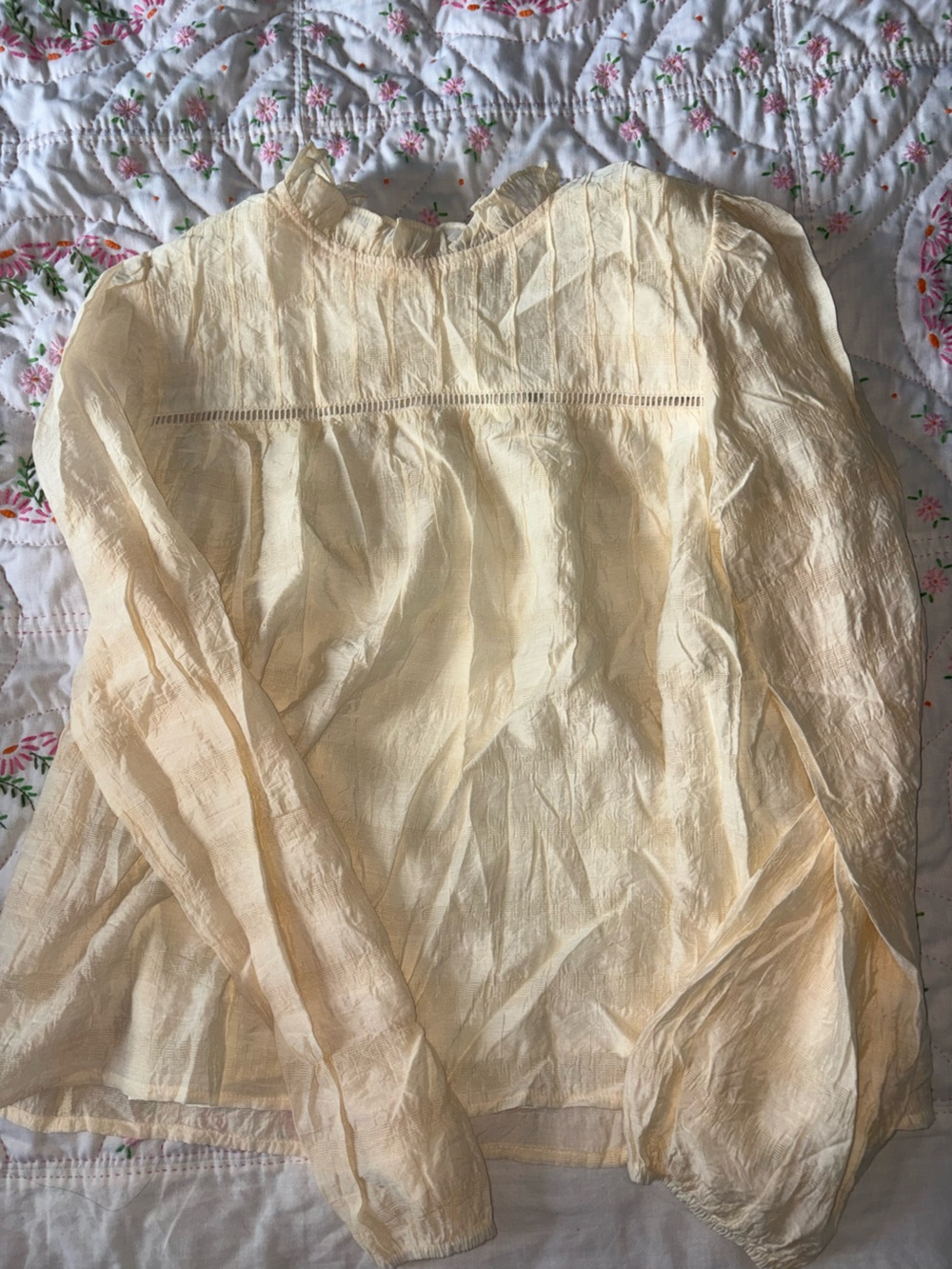 TCEC Sheer Cream Long Sleeve Blouse